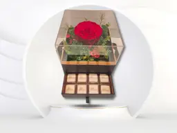 Gouri live long and chocolate